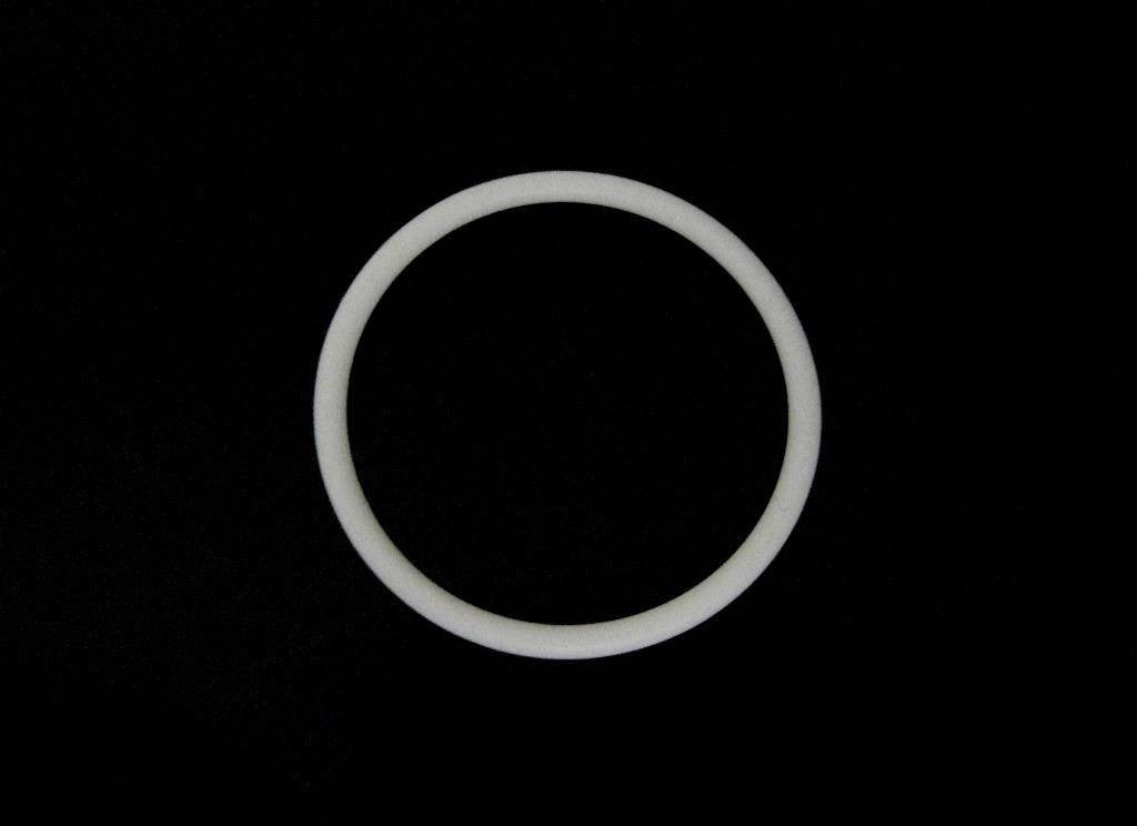 Graco Style 140-361104361 Outlet Manifold Filter PTFE O-Ring For Most Pumps