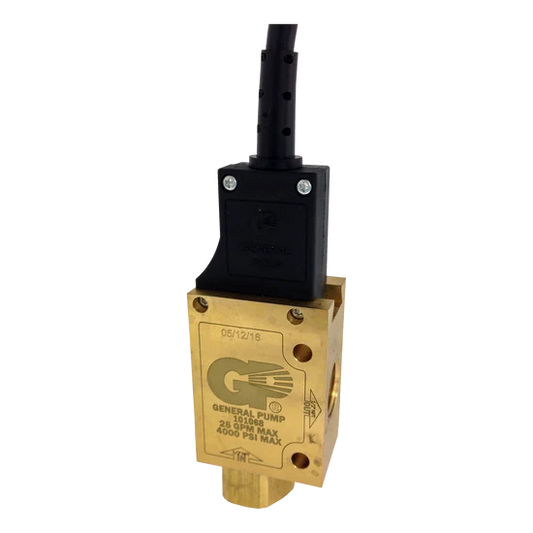 101068 High Flow Switch – Vertical Mount for Hot Water Pressure Washers