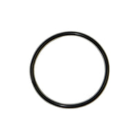 Graco Style 117-828 117828 Outlet Manifold Filter Encapsulated PTFE O-Ring