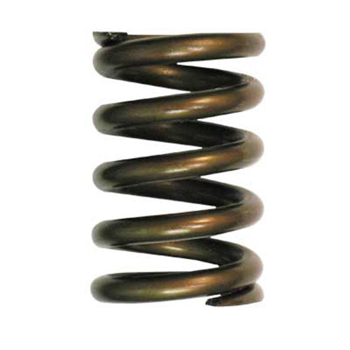 Replaces Schmidt Axxiom 2149-000-03 Thompson / Maxum I Abrasive Valve Spring