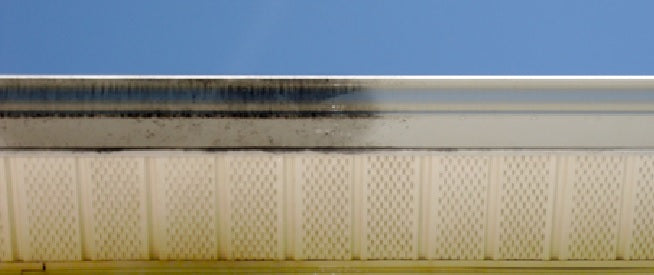 Gutter Better Super Concentrated Tiger Stripe Gutter Cleaning and Stain Remover Gallon Size